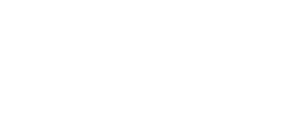 PAX logo